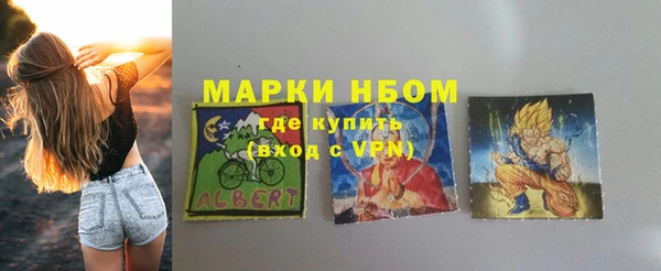 хмурый Инсар