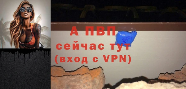 прущие грибы Зеленодольск