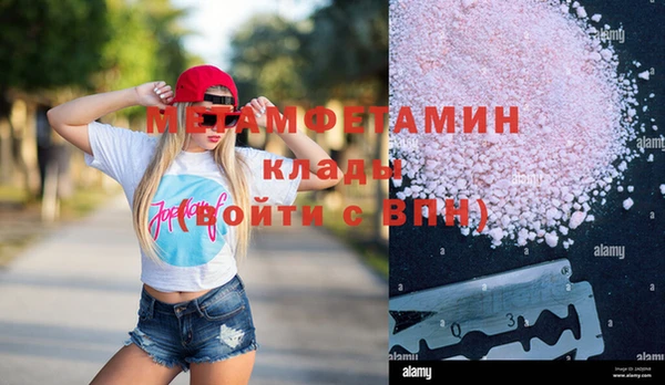 прущие грибы Зеленодольск