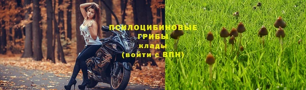 марки lsd Зеленокумск