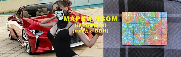 хмурый Инсар