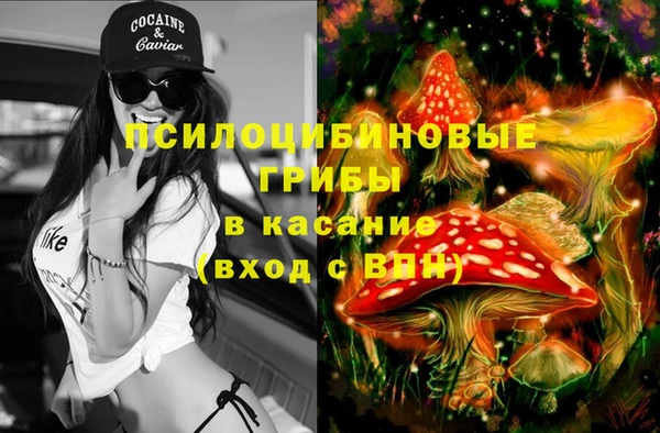 первитин Инта