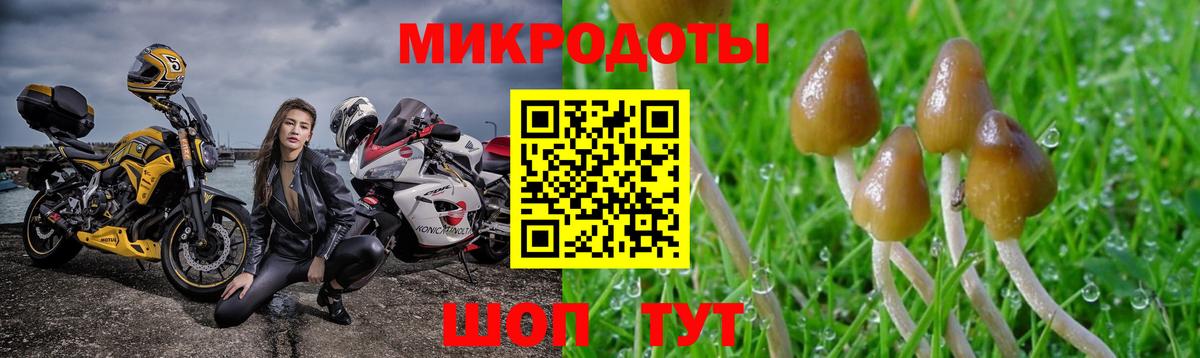 Галлюциногенные грибы мицелий Лобня